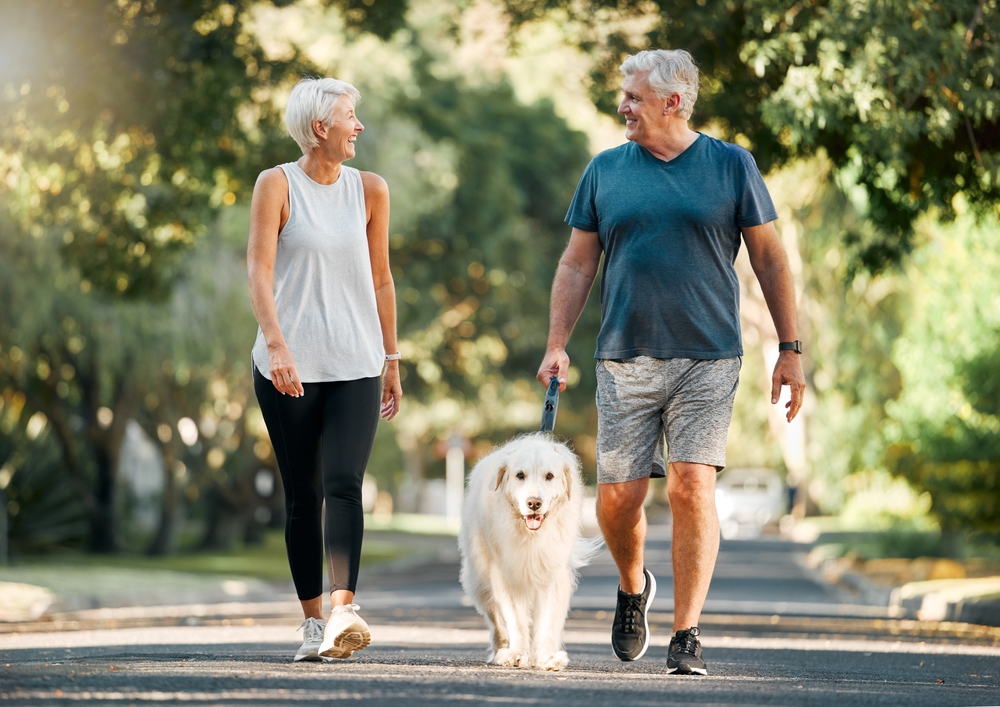 elderly couple taking dog for a walk
